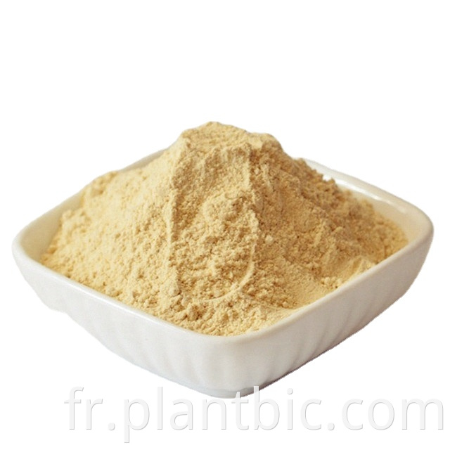 Capsules de poudre d'extrait de racine d'Ashwagandha